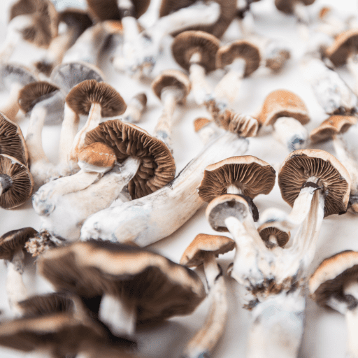 where to buy shrooms online